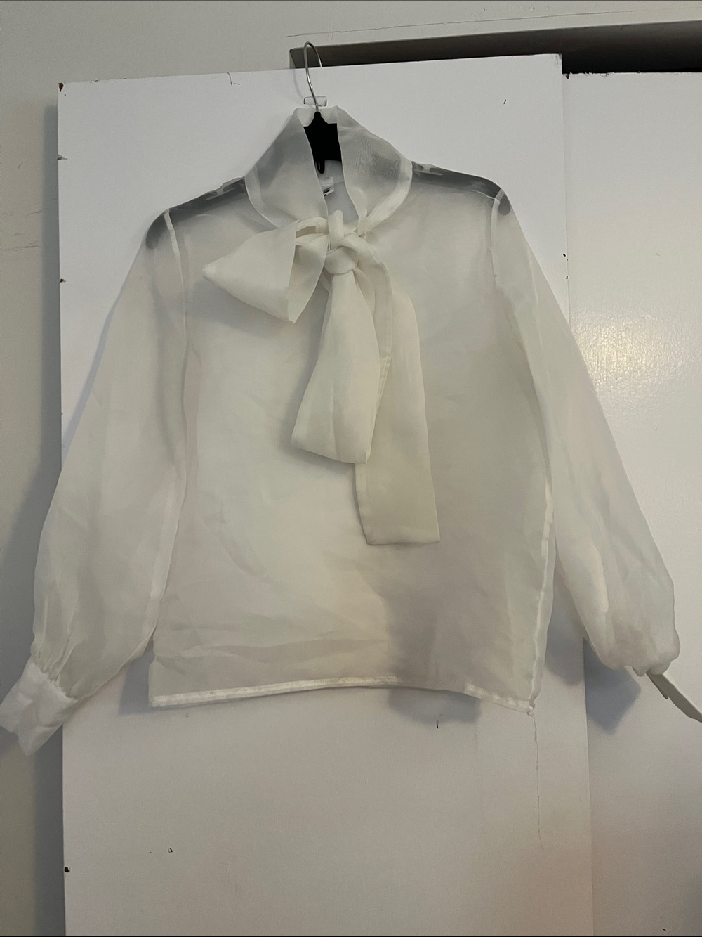 Sheer Bow Tie Neck Blouse in White
